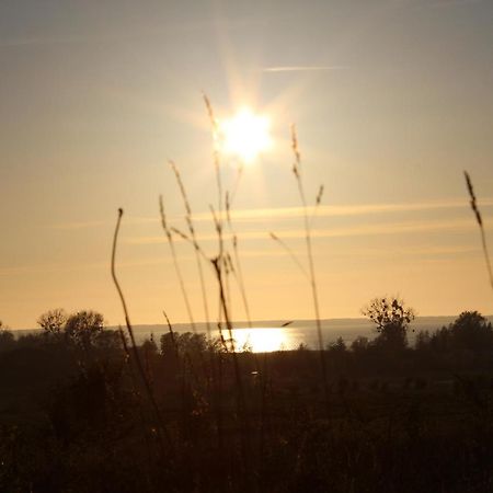 Agroturystyka Pod Kogutkiem Czysta Exteriör bild
